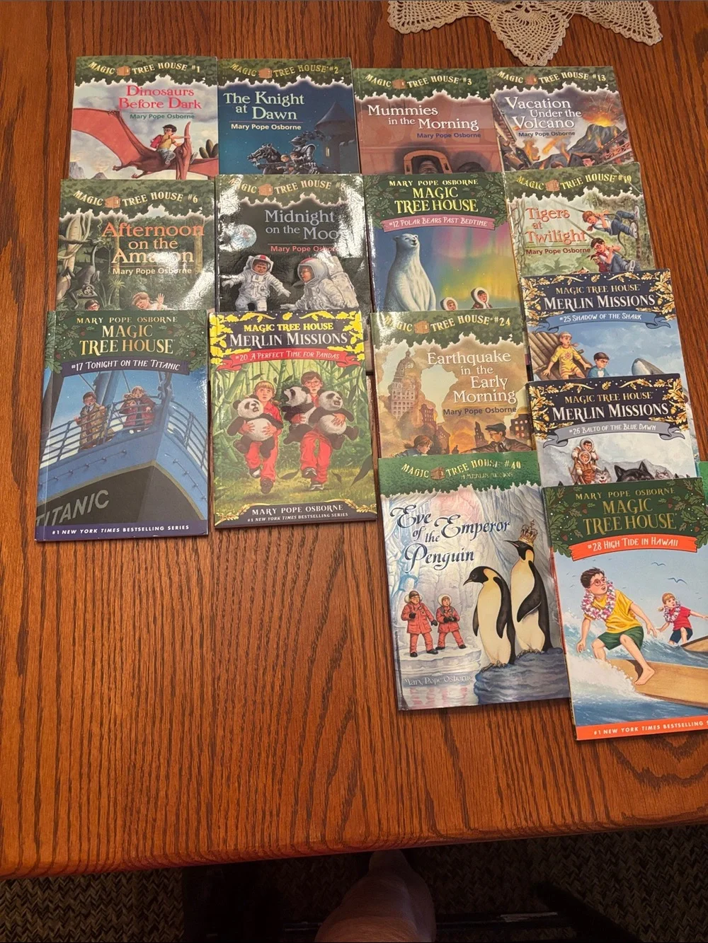 Magic Treehouse Novels (lot of 17)